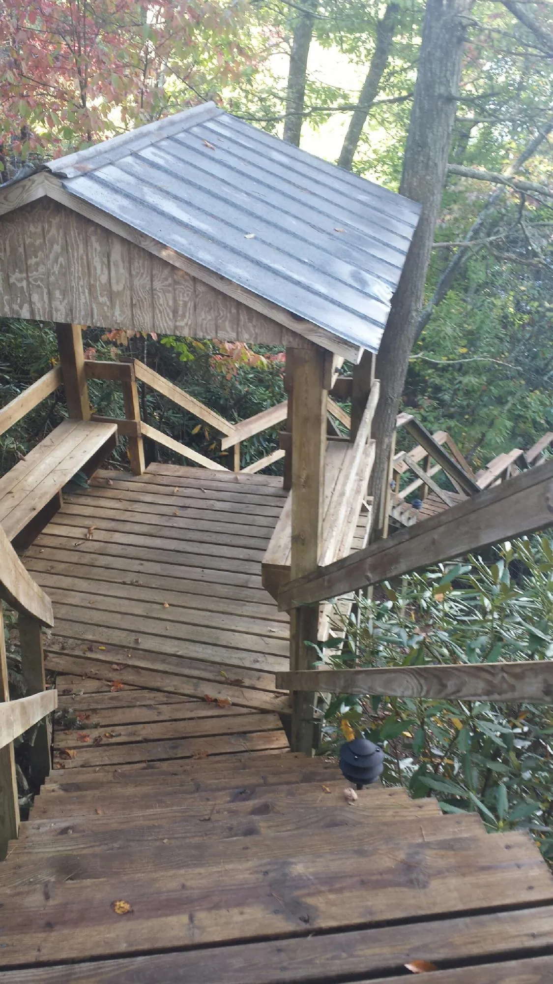 Metal roofed shelter over wooden steps on a wooded walkway — Skylight Repair & Installation work by our crew in Tavares
